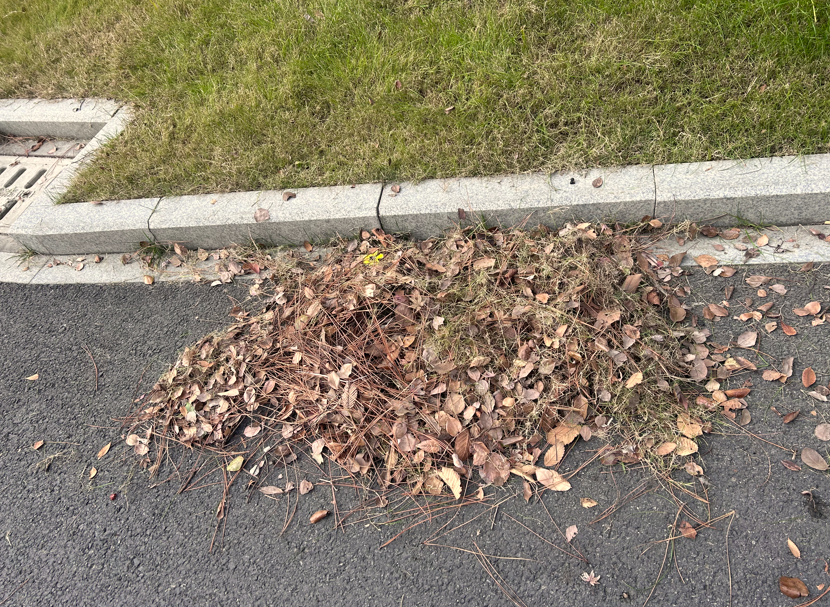 1737333385769830UzWP.png 企业微信截图_17373330389188.png