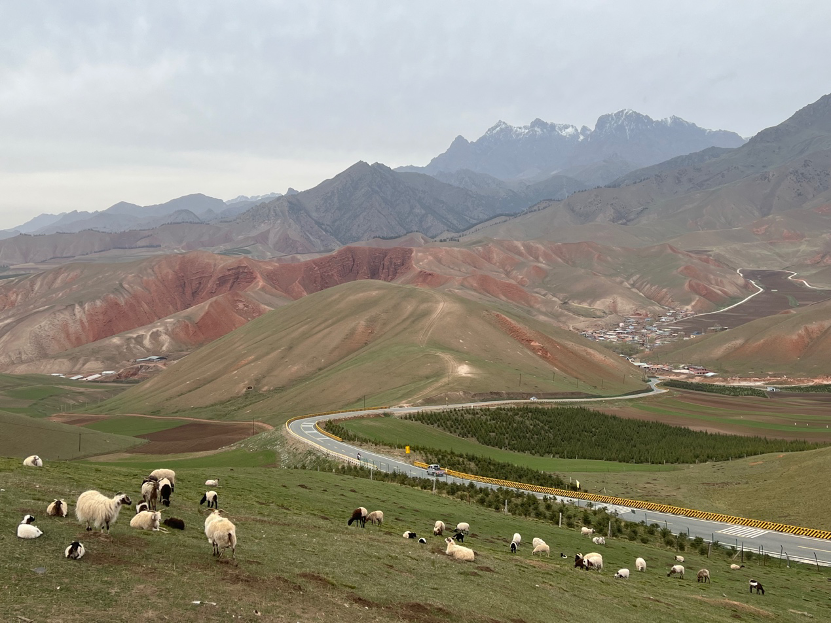 ��ͼ-20230725163510